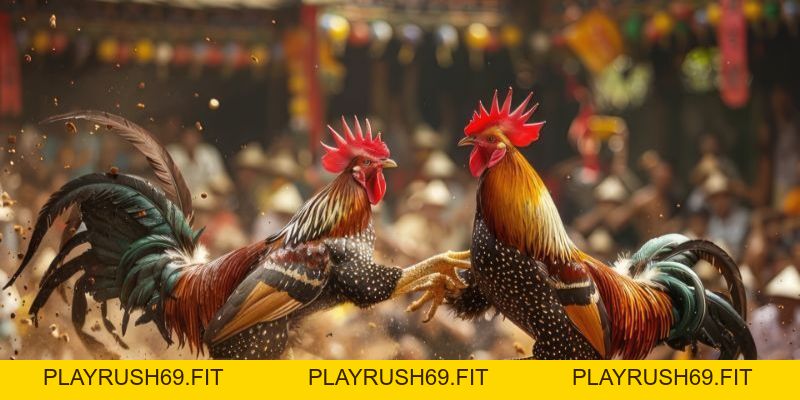 Mẹo chơi Baccarat – Từ luật chơi đến chiến lược năm 2026